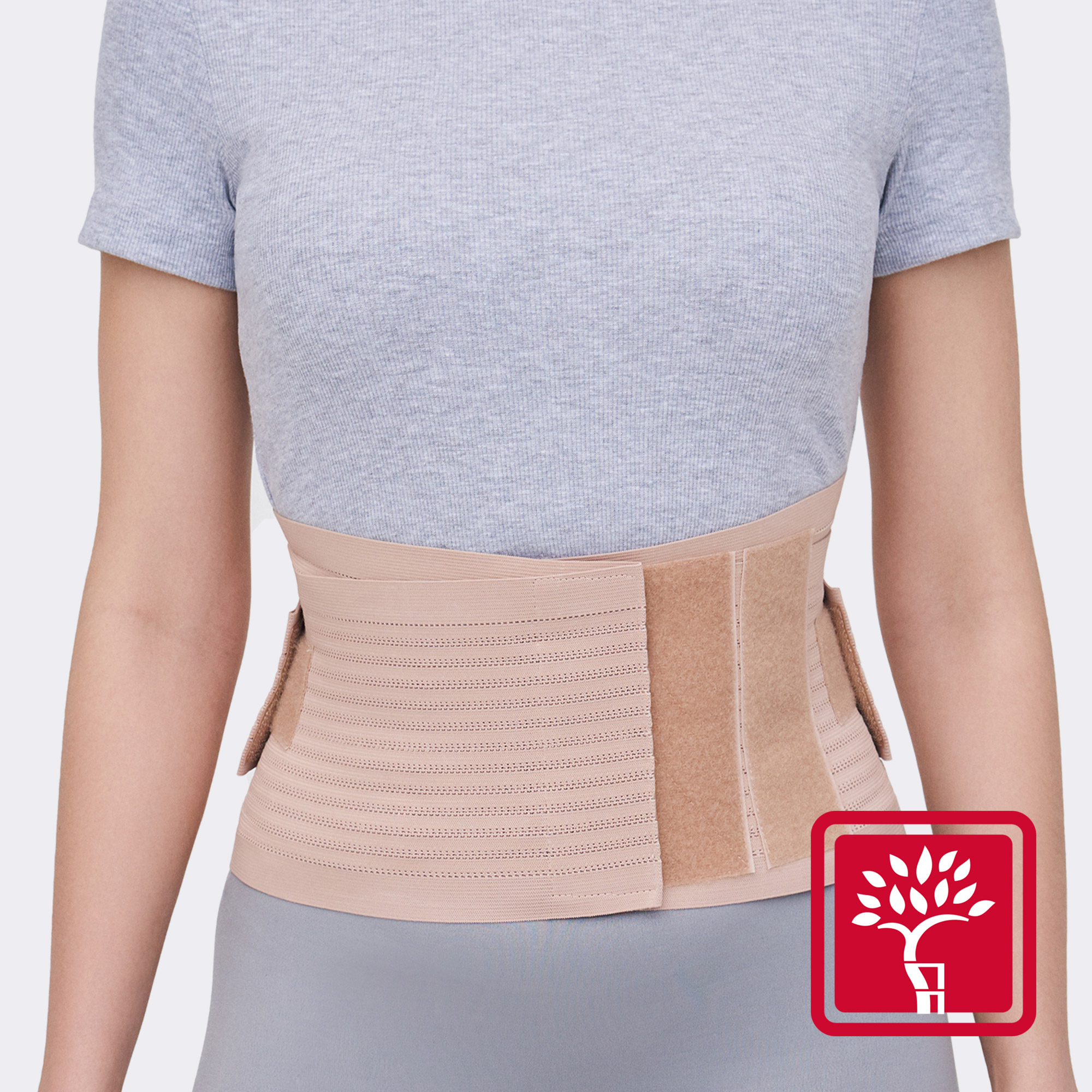 Бандаж на спину BV.06.3 ORTOMEDICA , умеренная фиксация купить в OrtoMir24